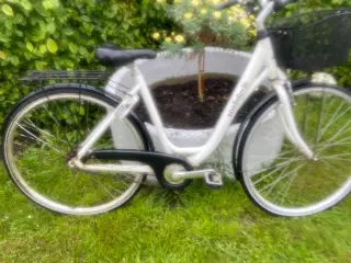 SCO Bellevue damecykel 
