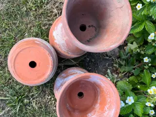 Terracotta urtepotter