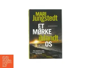 Et mørke i blandt os af Mari Jungsted