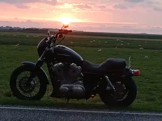 Harley Sportster fra 2006 + en projekt Harley 