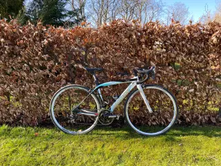Lækker Wilier Stella dameracercykel