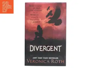 Divergent af Veronica Roth (Bog)