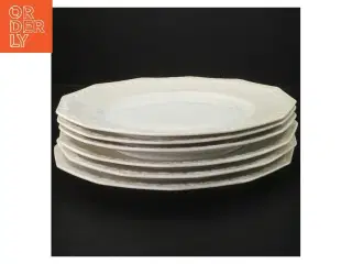 6 Rosenthal Maria middagstallerkner (6 stk, ø 24 cm)