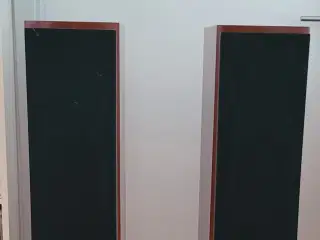 Dali Mentor 6 Utrolig flot og Velspillende Gulvhøj