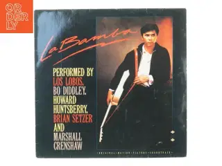 La bamba fra London (str. 30 cm)