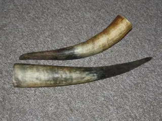 Horn 
