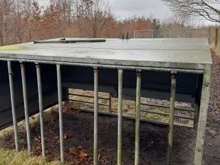 Kalvebar i fin stand