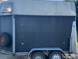 Nysynet  hestetrailer 