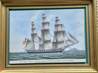 Porcelænsbillede, skibet Frederik Den Sjette. Bing