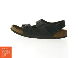 Birkenstock sandaler størrelse 43 fra Birkenstock (str. 43 )