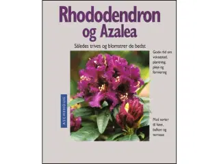 Rododendron og Azalea