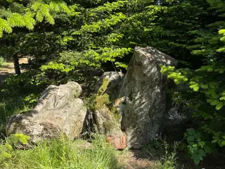 Stubbe