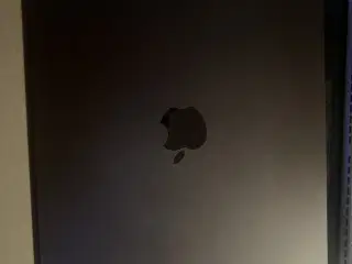 Apple iPad Pro 11” (M4) 256 GB