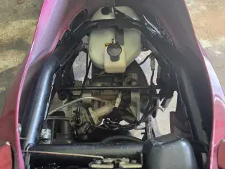 PGO T REX 50