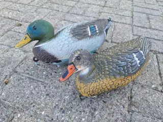 30 styk lokkeænder, gråand