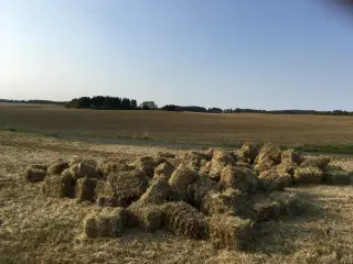 Vårbyghalm i småballer