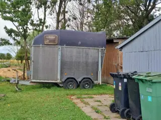 Brenderup k33 2 hestes trailer
