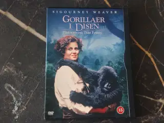 Sjældne dvd film 