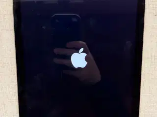 iPad Air 1 med simkort/cellular