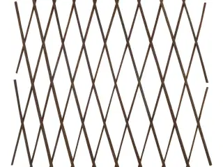 Pilehegn med espalier 5 stk. 180 x 60 cm