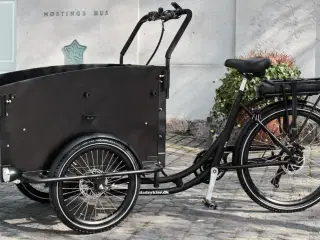 Electric charging bike – Premium (AMLADCYKLER)