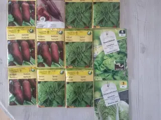 Frø grøntsager og lidt blomster frø ca 90 uåbnet