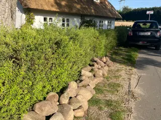 Hent gratis marksten 