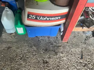 Johnson 25