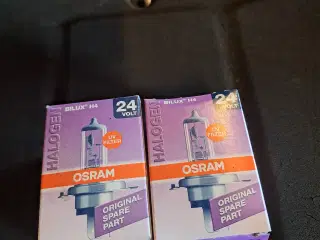 H 7  , H 4 pærer 12 v H 4 pære 24 v