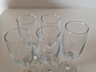 Champagneglas 