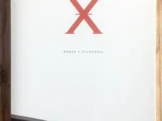 X, Kim Fupz Aakeson, genre: drama