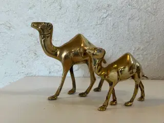 Messing dromedar