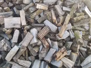 Brænde  tørt løvtræ