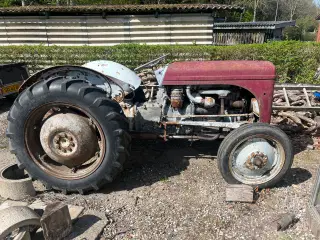 Ferguson Diesel