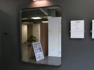 Spejl