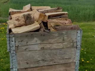 Brænde 
