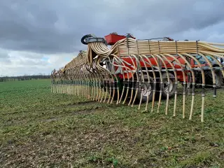 Slangebom