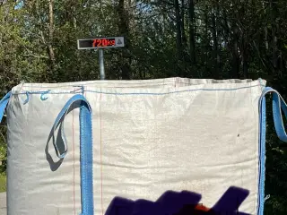 Korn byg og hvede