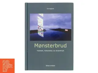 Mønsterbrud : teorier, forskning og eksempler af Ulla Søgaard (Bog)
