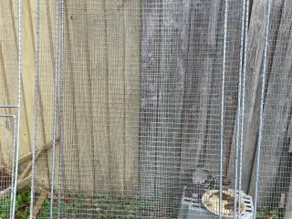 Voliere rammer  bred 