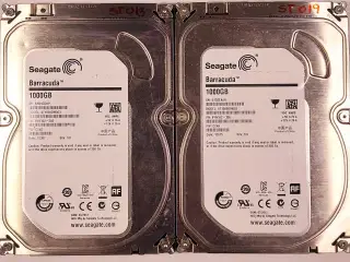 Seagate Baracuda 1 Tb 2 stk samlet