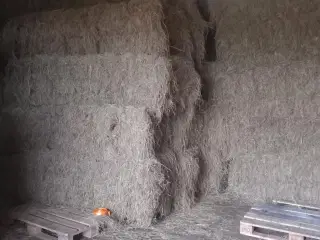 Hø og halm i minibig ...