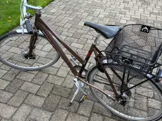 FUJI PRO 9 Roller damecykel