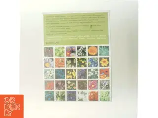 Lademanns Blomsteratlas af Roy Hay (Bog)