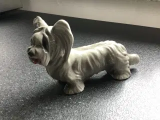 Porcelænshund