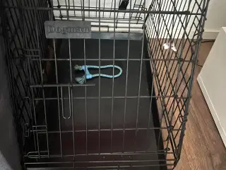 Hundebur til mellemstørrelse hund