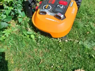Flot Robotgræsslåmaskine Sælges