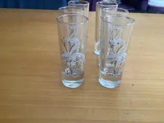 Glas stk 6 