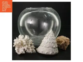 Glasboule til blomster,  sneglehuse, krystaller (str. Ø. 23 cm)