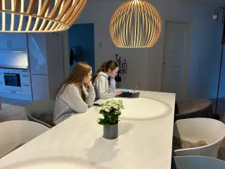 Secto Design Octo 4240 Pendel Valnød